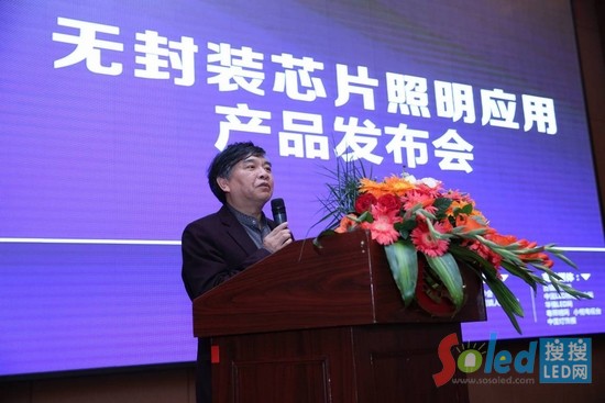 中國照明學(xué)會秘書長 竇林平